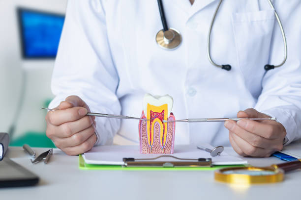 Best Emergency Broken Tooth Repair in Hermitage, PA